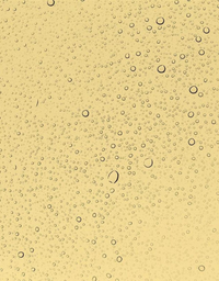 Brume revitalisante matifiante Fit & Fabulous - Nideco