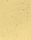 Brume revitalisante matifiante Fit & Fabulous - Nideco